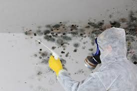 Best Crawl Space Mold Remediation  in River Oaks, TX